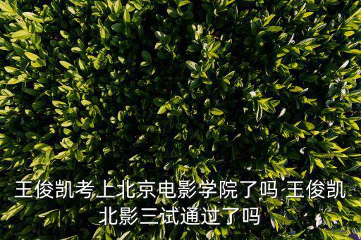 王俊凱最新消息，王俊凱最近在不在重慶