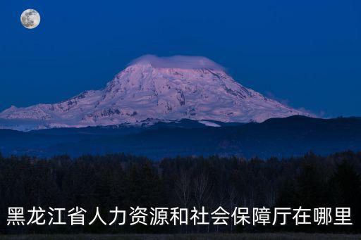 黑龍江省人力資源和社會(huì)保障廳在哪里
