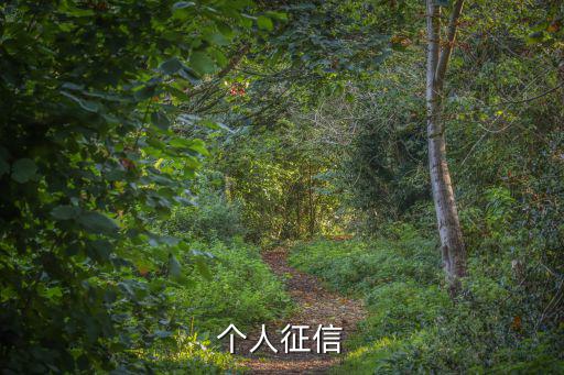 個人征信中心官網，中國人民銀行個人信用查詢