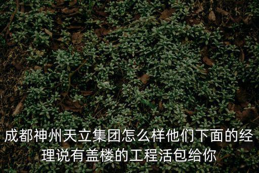 神州天立，神州天立在廣安有什么項目呢