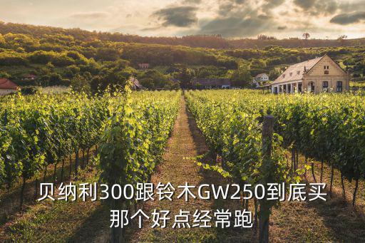 鈴木300，鈴木250摩托車 300斤左右的