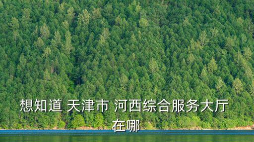 想知道 天津市 河西綜合服務大廳 在哪
