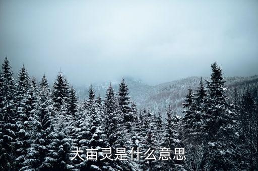 大畝靈是什么意思