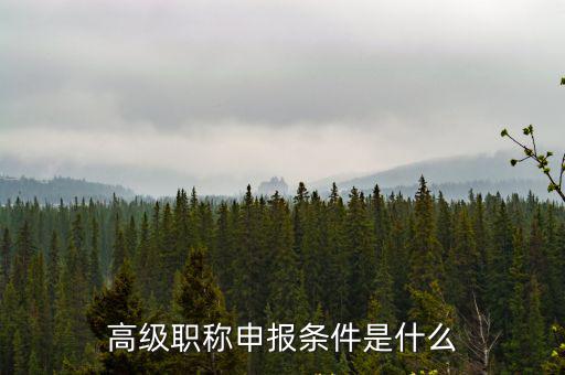 高級(jí)職稱(chēng)申報(bào)條件是什么