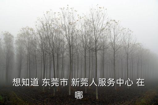 想知道 東莞市 新莞人服務中心 在哪