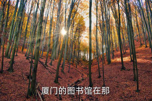 廈門的圖書館在那