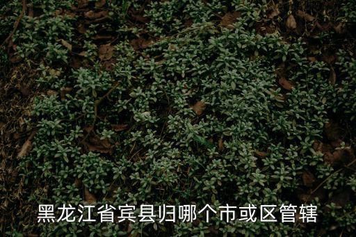 黑龍江省賓縣歸哪個市或區管轄