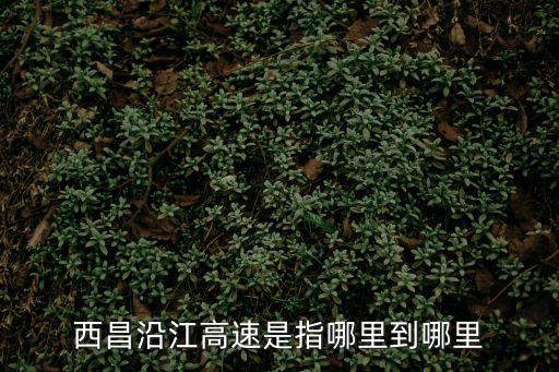 西昌沿江高速是指哪里到哪里