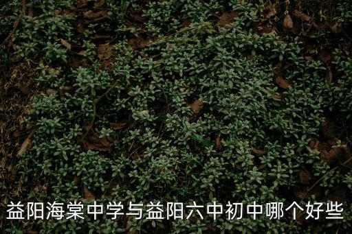 益陽海棠中學(xué)與益陽六中初中哪個好些