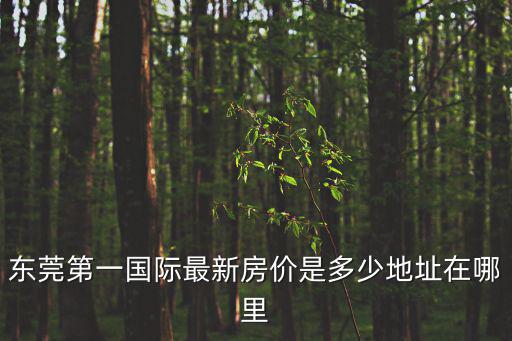 東莞第一國際最新房價是多少地址在哪里