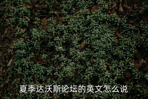 夏季達(dá)沃斯論壇的英文怎么說(shuō)