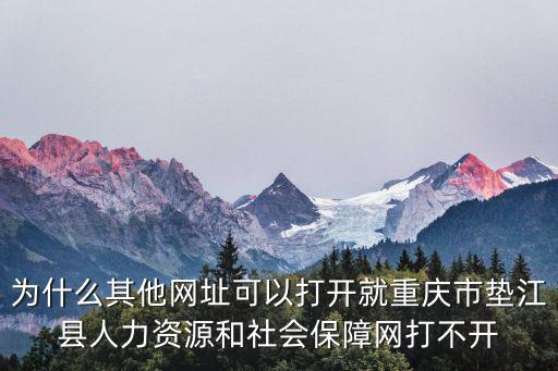 為什么其他網址可以打開就重慶市墊江縣人力資源和社會保障網打不開