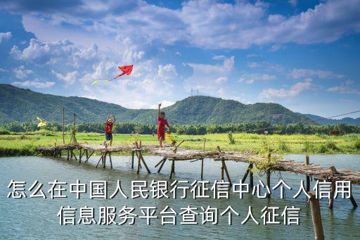 怎么在中國人民銀行征信中心個人信用信息服務平臺查詢個人征信