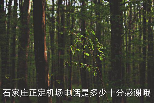 石家莊正定機場電話是多少十分感謝哦