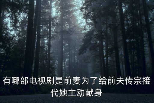 有哪部電視劇是前妻為了給前夫傳宗接代她主動獻身