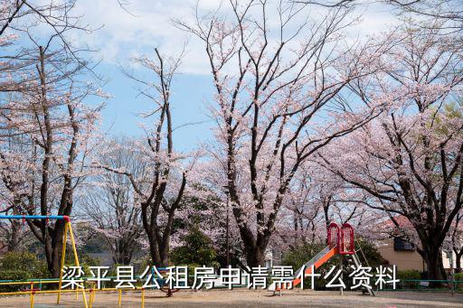 梁平縣公租房申請需什么資料