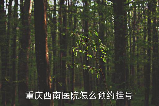 重慶西南醫(yī)院怎么預約掛號
