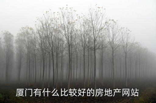 廈門有什么比較好的房地產網站