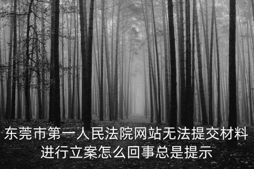 東莞市第一人民法院網站無法提交材料進行立案怎么回事總是提示