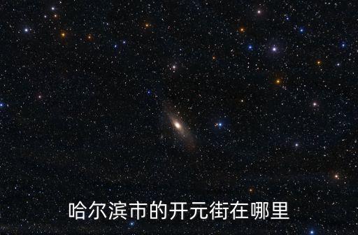 哈爾濱市的開(kāi)元街在哪里