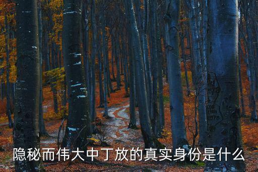 隱秘而偉大中丁放的真實(shí)身份是什么