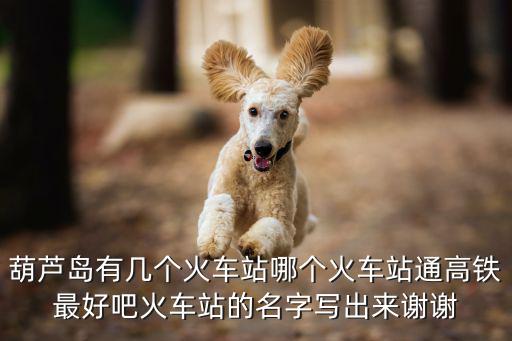 葫蘆島有幾個火車站哪個火車站通高鐵最好吧火車站的名字寫出來謝謝