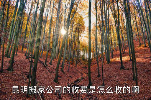 搬家公司怎么找，昆明搬家公司的收費是怎么收的啊