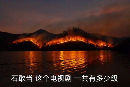 石敢當 這個電視劇 一共有多少級
