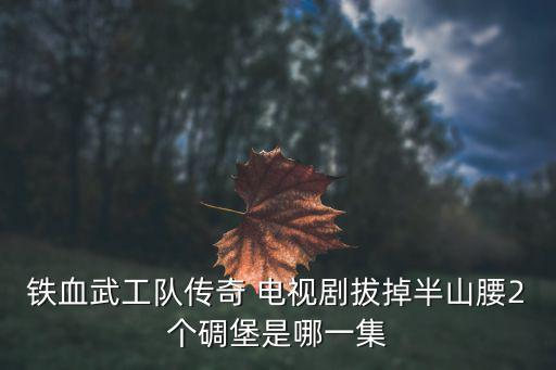 鐵血武工隊傳奇 電視劇拔掉半山腰2個碉堡是哪一集