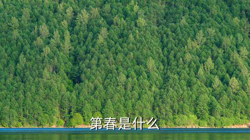 第春是什么
