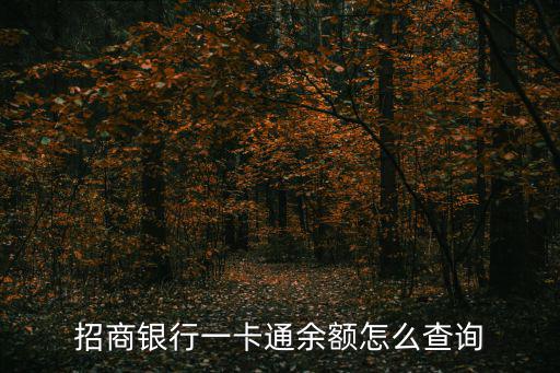 一卡通查詢，社保一卡通怎樣查詢辦理情況