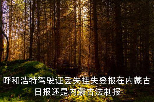 內蒙古日報電子版，呼和浩特駕駛證丟失掛失登報在內蒙古日報還是內蒙古法制報