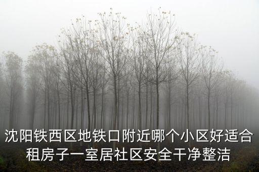 沈陽鐵西區地鐵口附近哪個小區好適合租房子一室居社區安全干凈整潔
