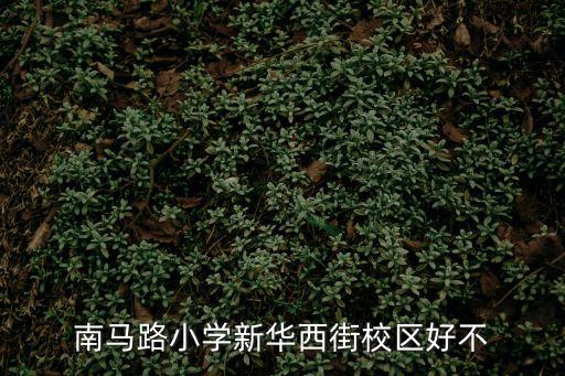 南馬路小學新華西街校區好不