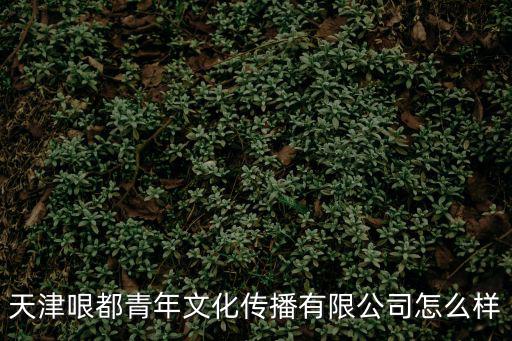 天津哏都青年文化傳播有限公司怎么樣