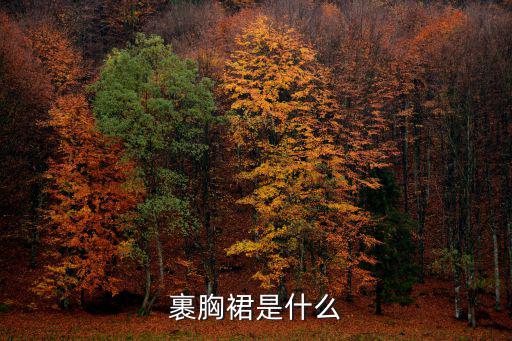 裹胸裙是什么