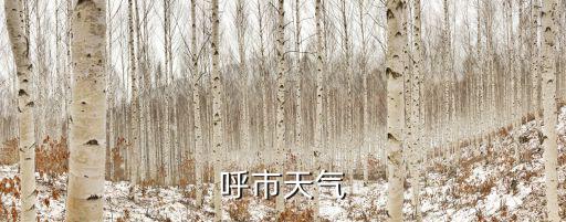 呼和浩特市天氣，今天呼和浩特天氣