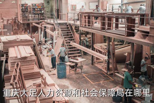 重慶大足人力資源和社會保障局在哪里
