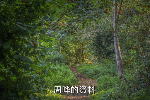 周嘩的資料