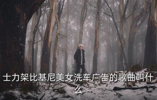 士力架比基尼美女洗車廣告的歌曲叫什么