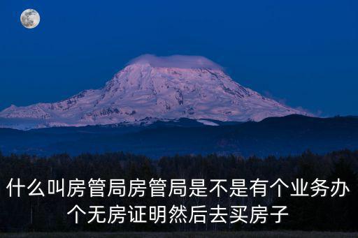 什么叫房管局房管局是不是有個業務辦個無房證明然后去買房子