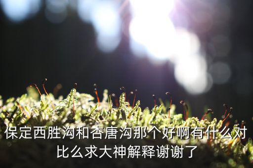 西勝溝，保定西勝溝和杏唐溝那個好啊有什么對比么求大神解釋謝謝了