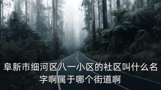 阜新市細(xì)河區(qū)八一小區(qū)的社區(qū)叫什么名字啊屬于哪個街道啊