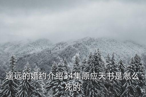 遙遠的婚約介紹34集原應天書是怎么死的