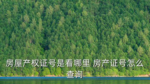 房屋產權證號是看哪里 房產證號怎么查詢