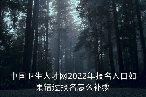 中國衛生人才網2022年報名入口如果錯過報名怎么補救