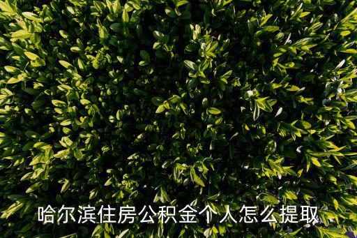 哈爾濱公積金提取，哈爾濱如何提取住房公積金都需要什么錢是通過什么方式給我呢