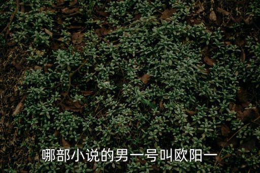 哪部小說的男一號叫歐陽一