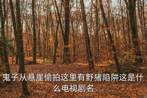 鬼子從懸崖偷拍這里有野豬陷阱這是什么電視劇名