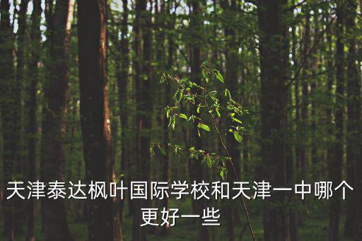 天津泰達楓葉國際學校，天津泰達楓葉國際學校和天津一中哪個更好一些